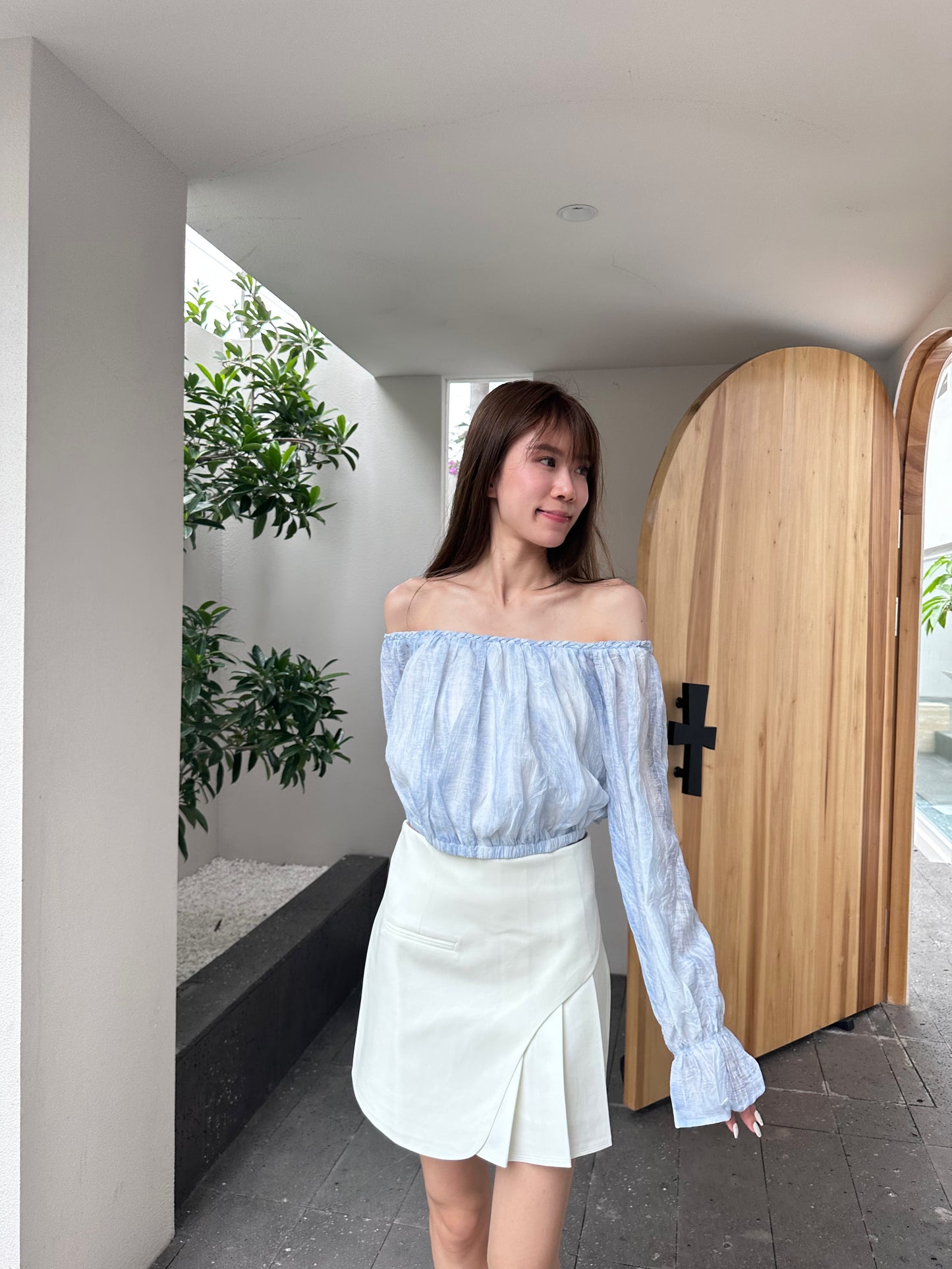 Half Pleated Mini Skirt