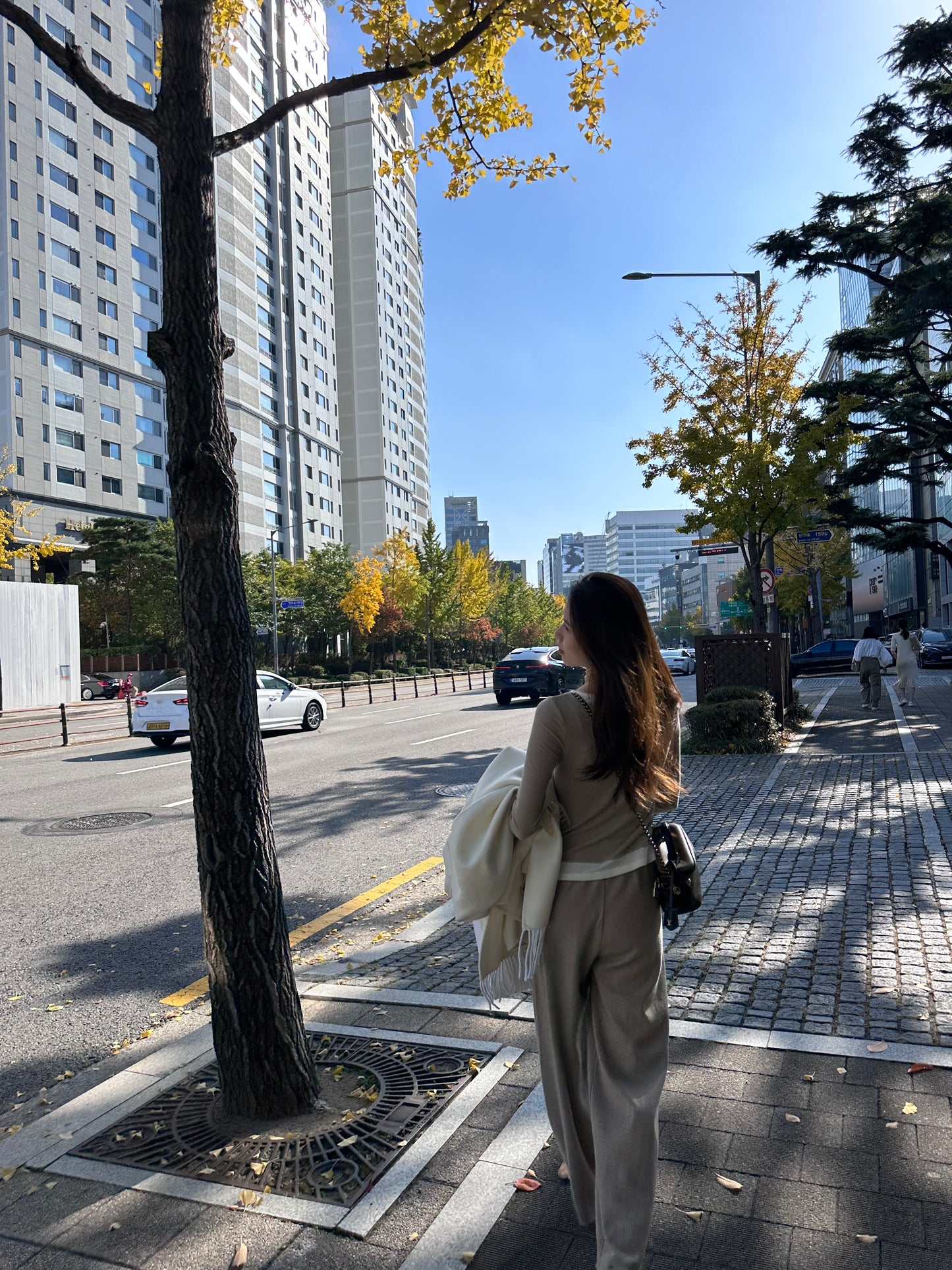 Double Layers Long Sleeves T Top