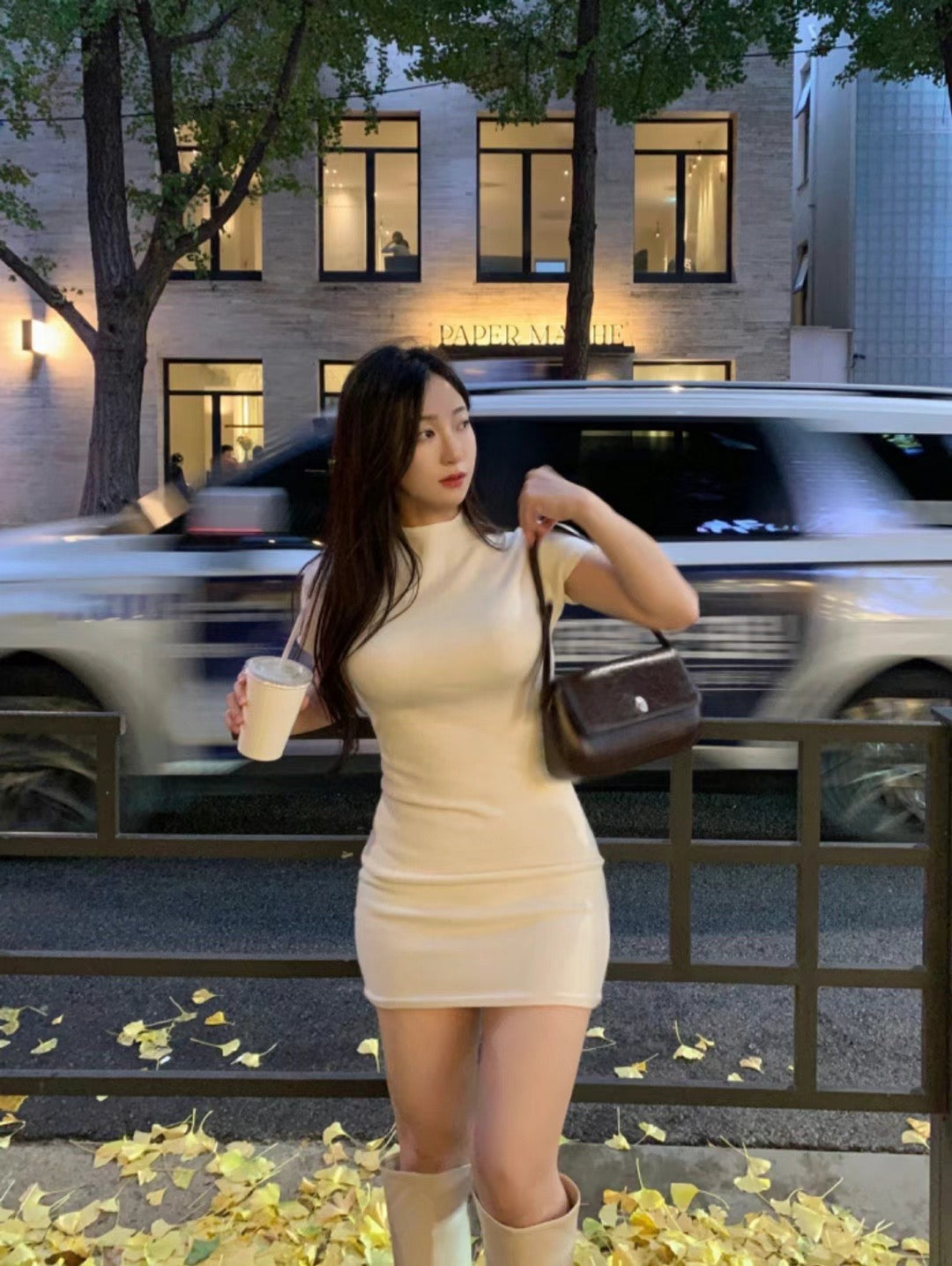 Soft Turtle Neck Wool Mini Dress