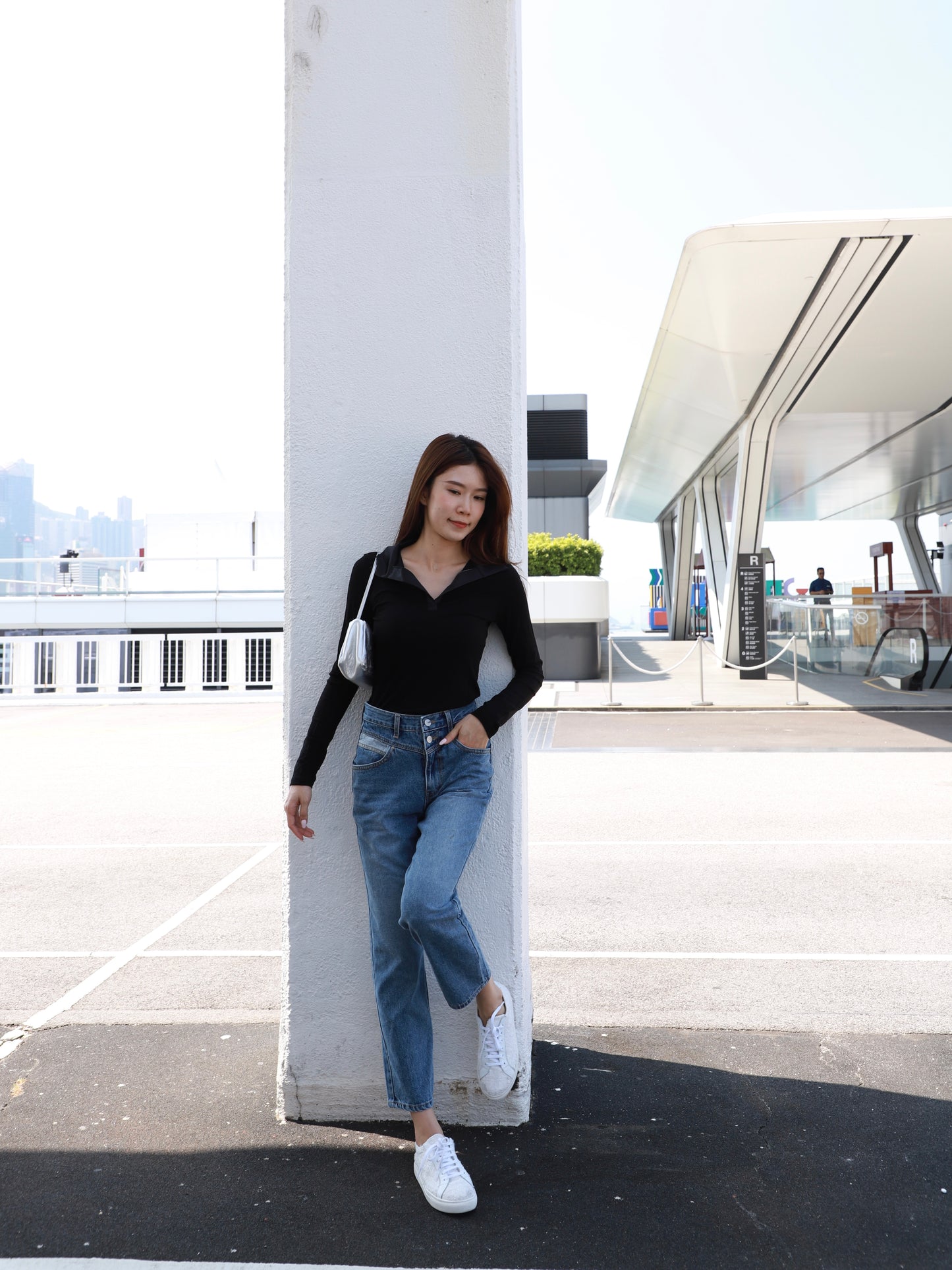 Silk Collar Neck Long Sleeves Top