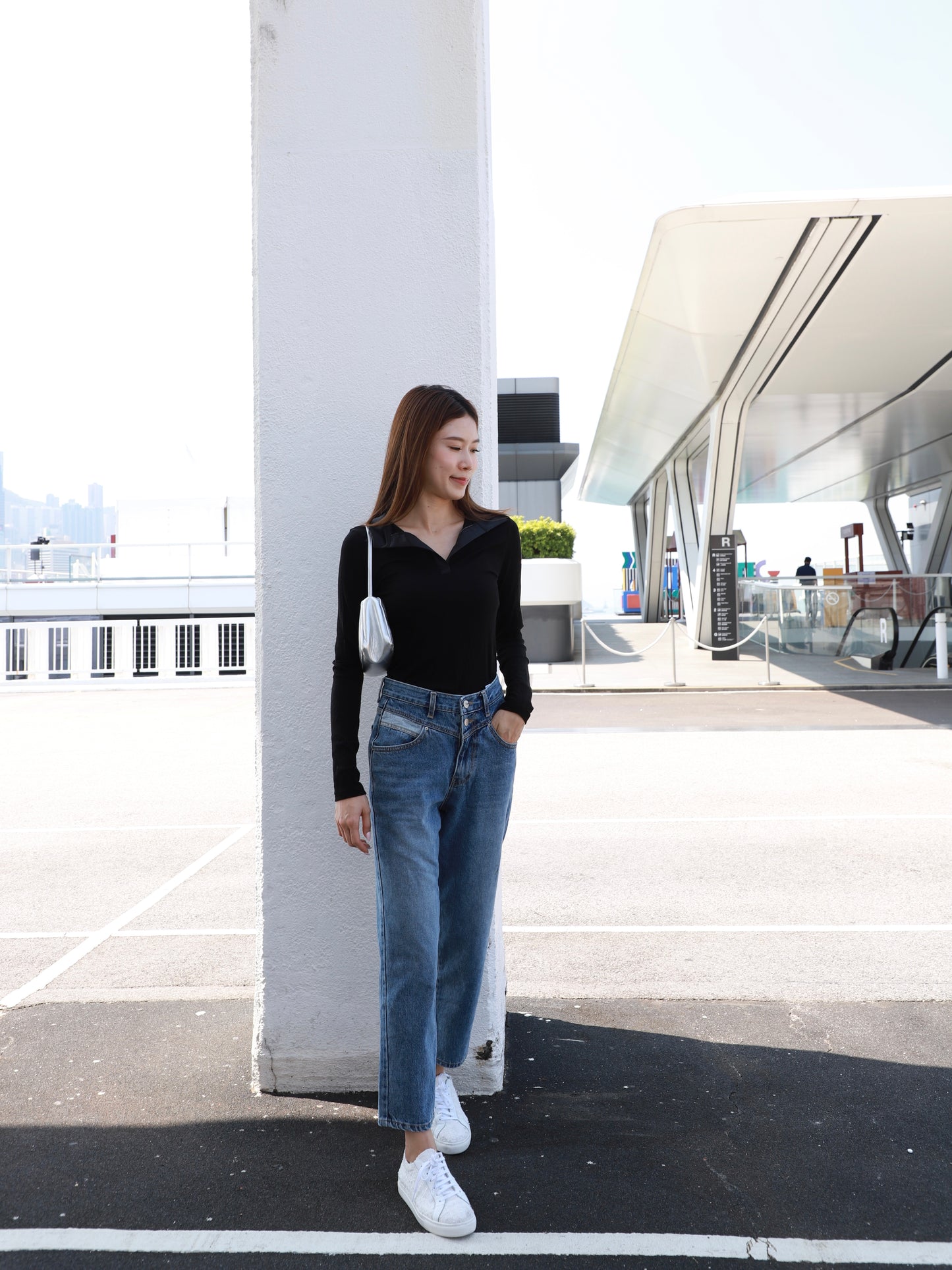 Silk Collar Neck Long Sleeves Top