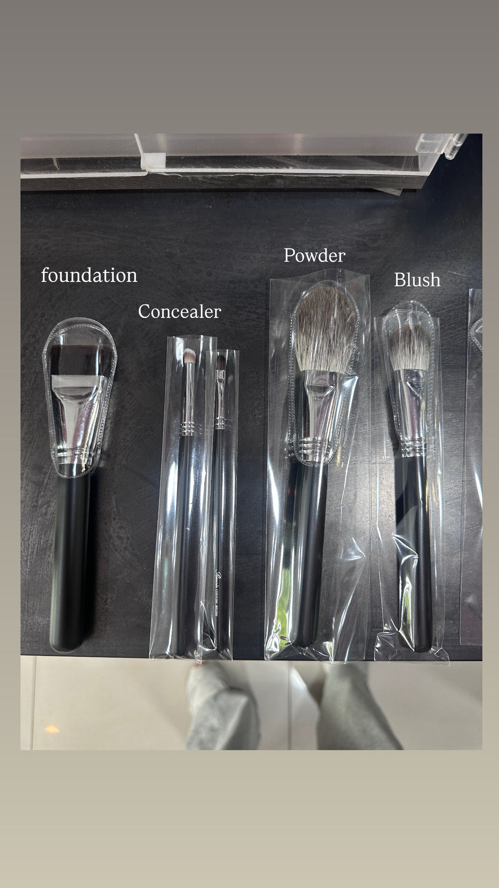 Revior Brush ￼專業版 (11枝)