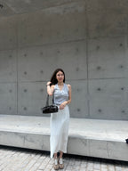 Striped See Through Maxi Skirt
