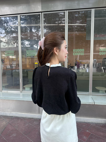 Ribbon Tied Lace Long Sleeves Top