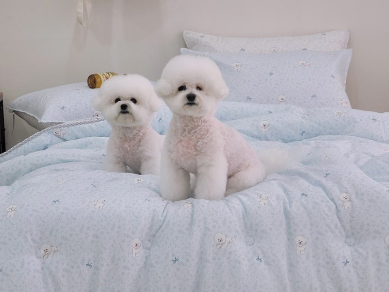 韓國天絲棉被比熊狗狗（一年四季）