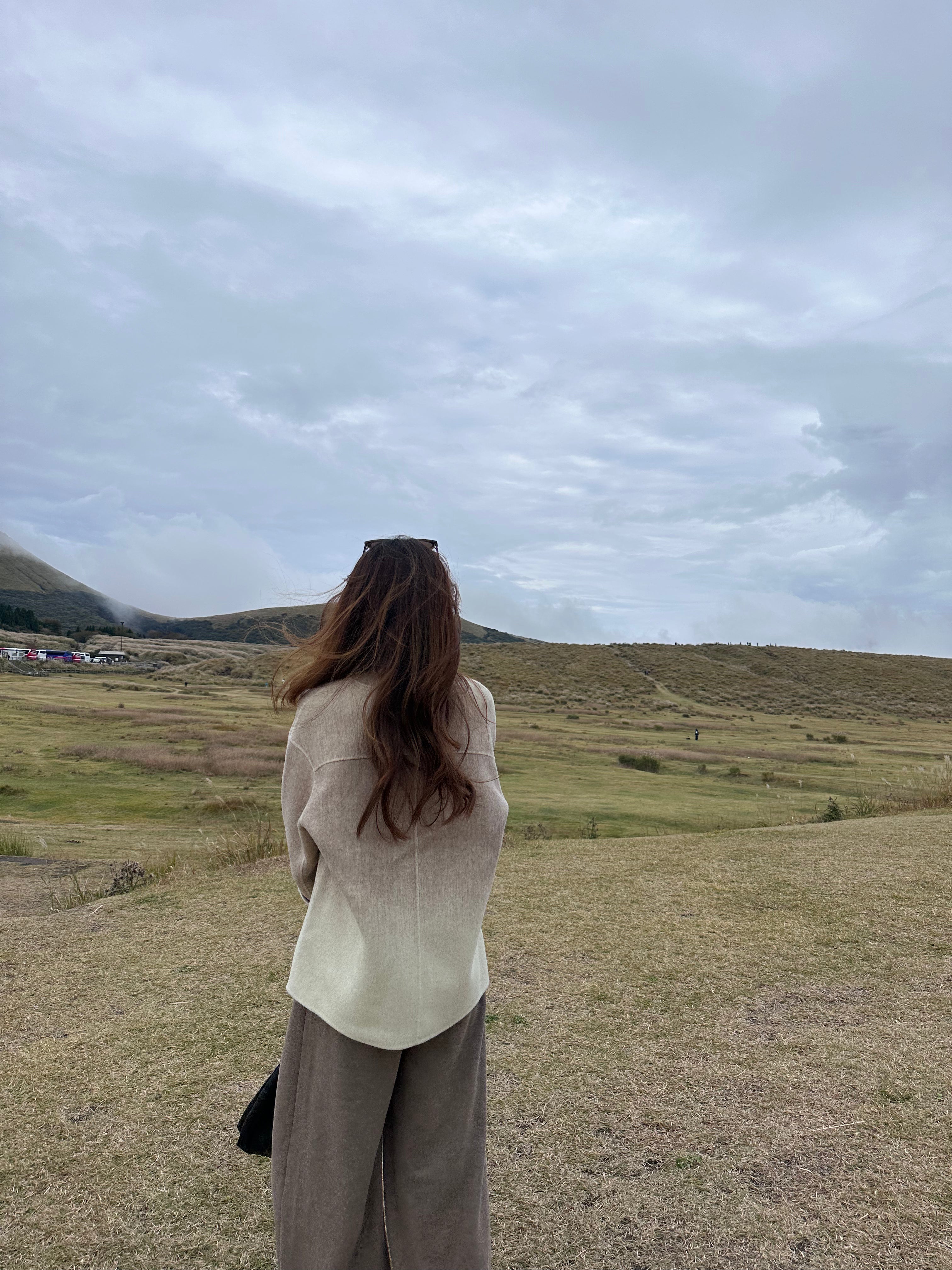 Dif Colour Wool Jacket